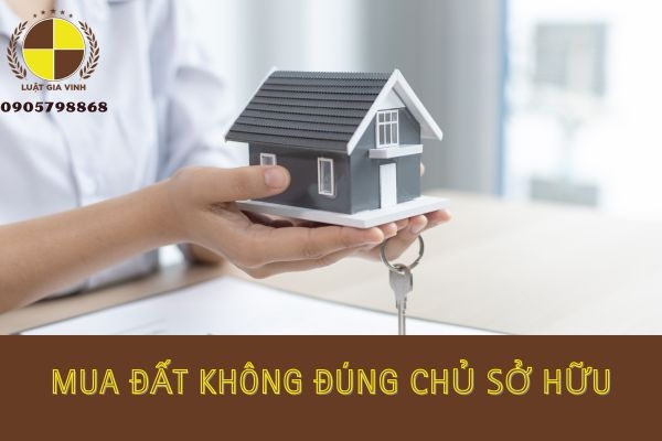 mua đất không đúng chủ sở hữu