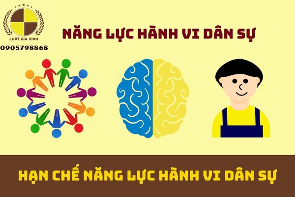 Một người được xem là bị hạn chế năng lực hành vi dân sự khi nào?
